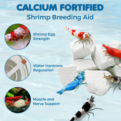 Sungrow white rocks in shrimp tank enhance vibrancy and longevity of aquatic life.