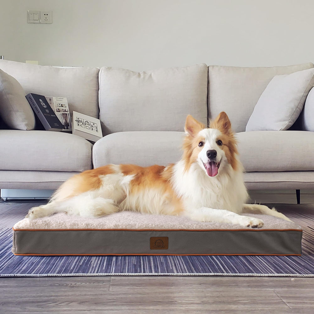 Sunheir dog resting on bed shows spacious cushion for lounging.