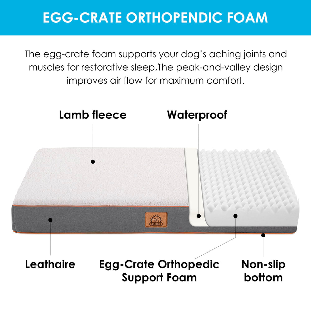 Sunheir egg foam support close-up shows cushioning for resting dogs.
