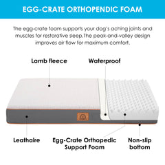 Sunheir egg foam support close-up shows cushioning for resting dogs.
