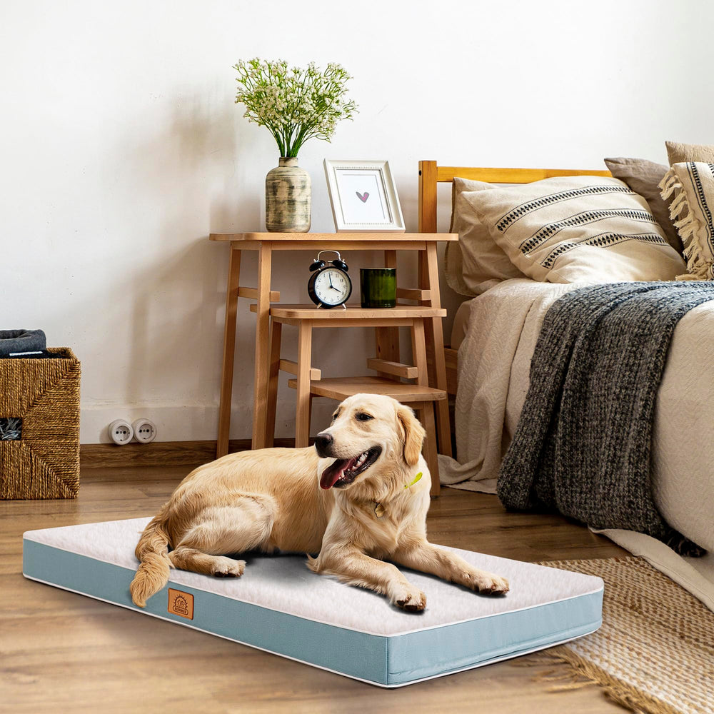Sunheir Orthopedic Dog Bed deluxe plush top delivers cozy warmth and tactile comfort.