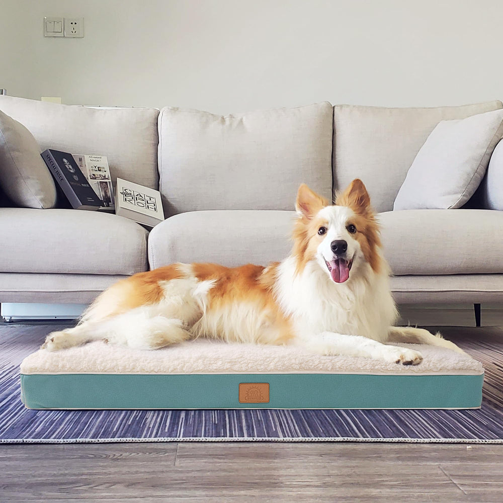 Sunheir Orthopedic Dog Bed wash demo demonstrates easy care and maintenance.