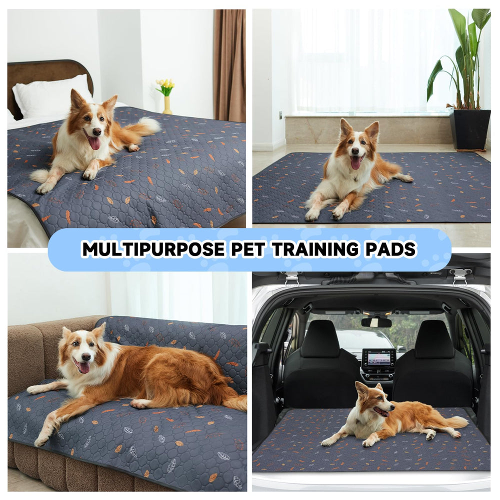 Sunheir patterned pads eco-friendly, cost-effective training options.