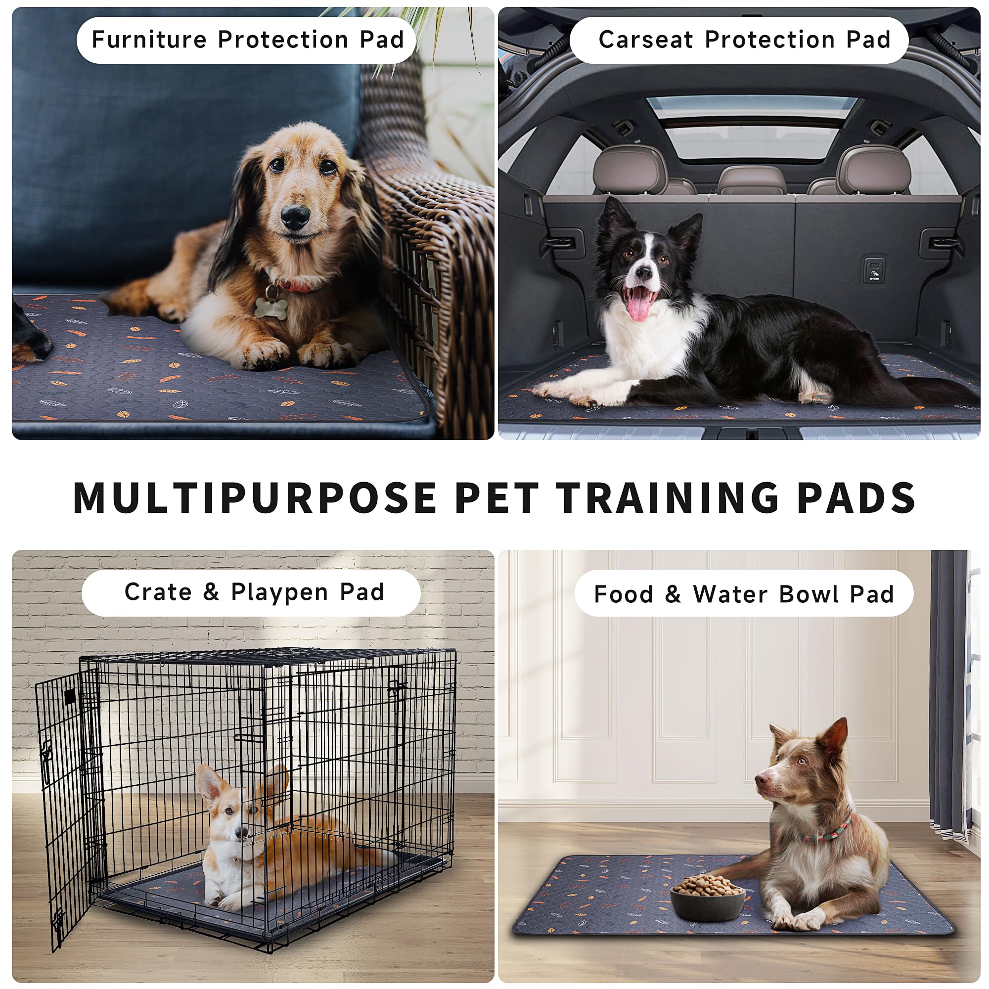 Sunheir pee pad 4-pack packaging highlights reusable, cost-saving option.