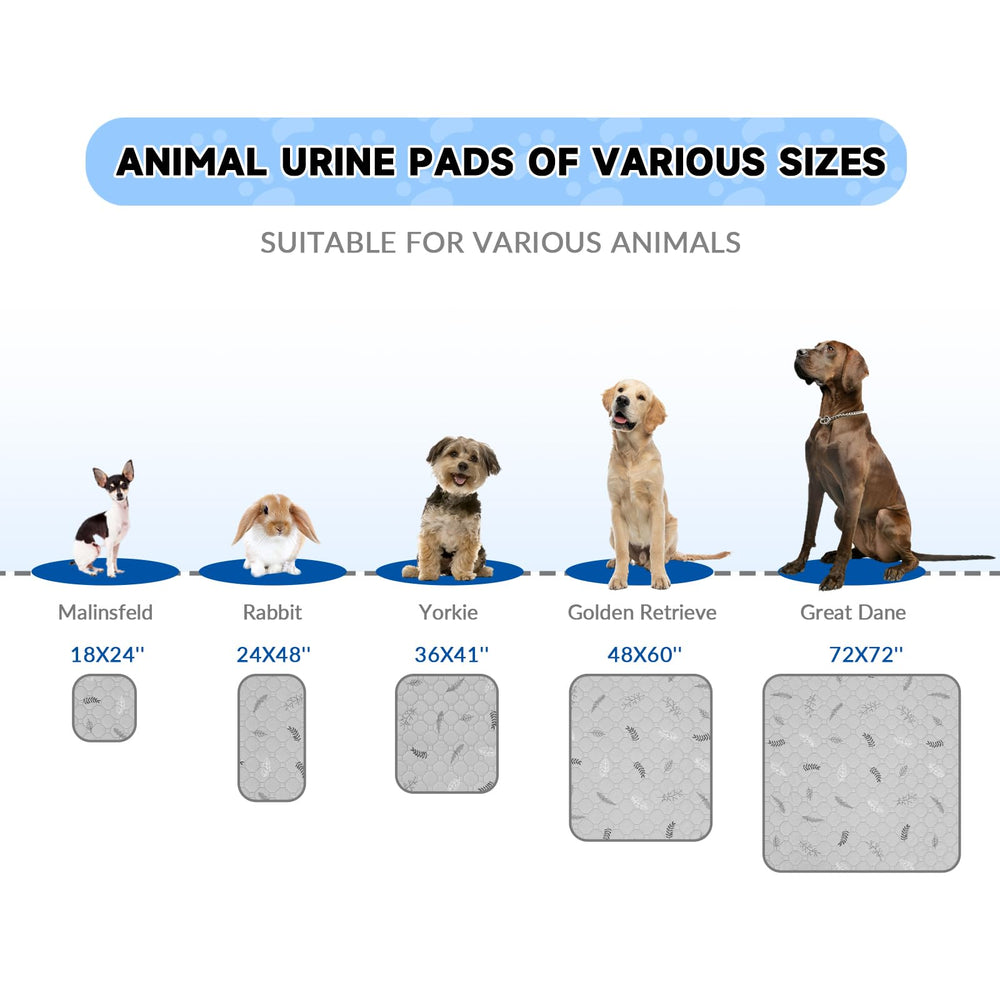Sunheir pee pad pattern and eco-friendly design supports daily potty training.