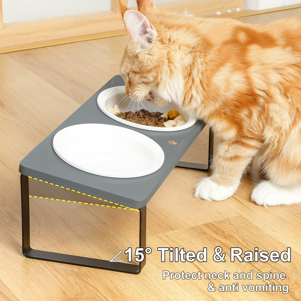 Sunhoo bowls fit securely in the stand for mess-free feeding