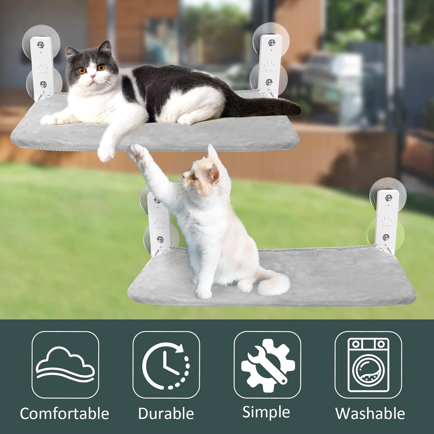 Sunhoo cat window hammock two-pack design for room-to-room versatility.