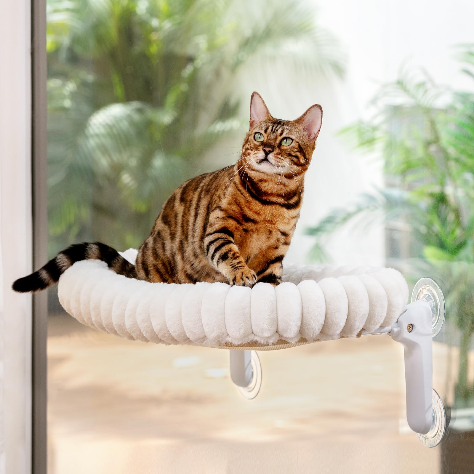 Sunhoo Cat Window Perch Bed supports multiple cats with even weight distribution