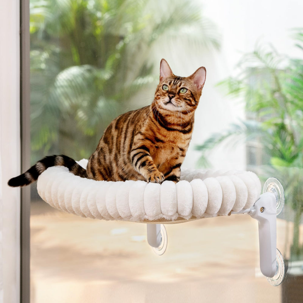 Sunhoo Cat Window Perch Bed supports multiple cats with even weight distribution