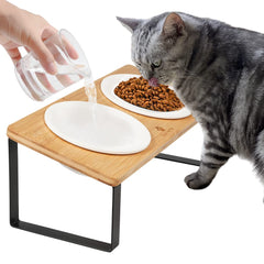 Sunhoo ceramic elevated cat bowls on a tilted stand improve feeding posture.