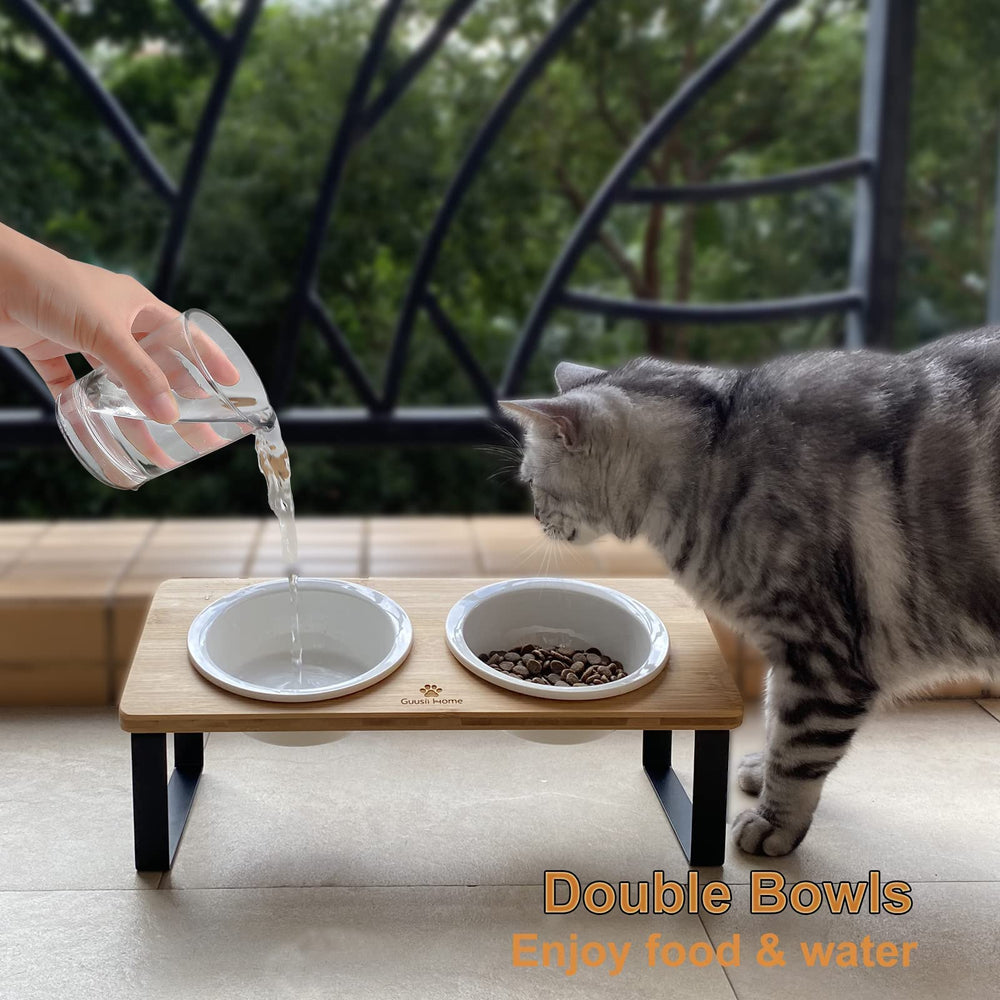 Sunhoo dual 5.5-inch ceramic bowls sit securely for clean mealtime.