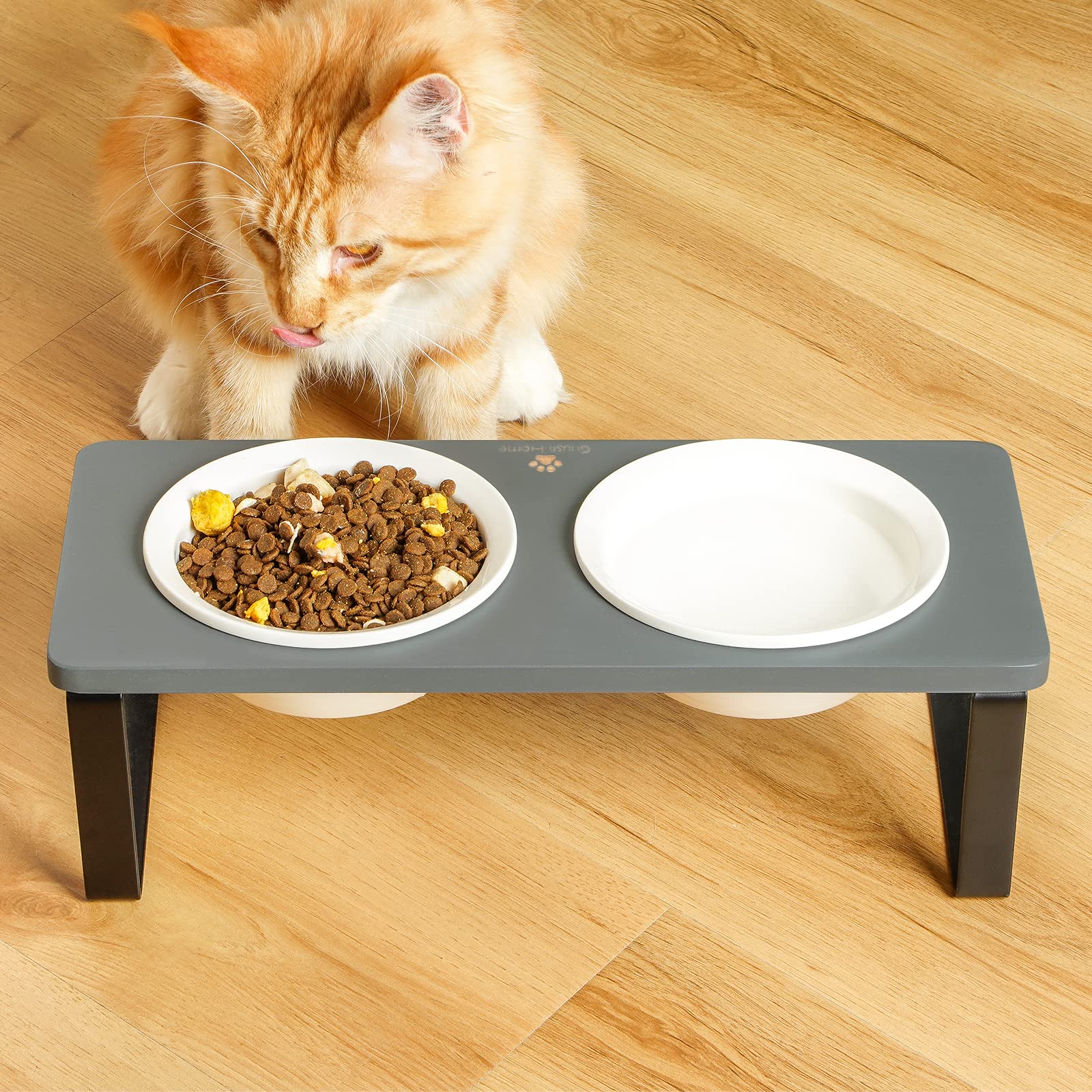 Sunhoo elevated feeding station keeps bowls away from dust and hair