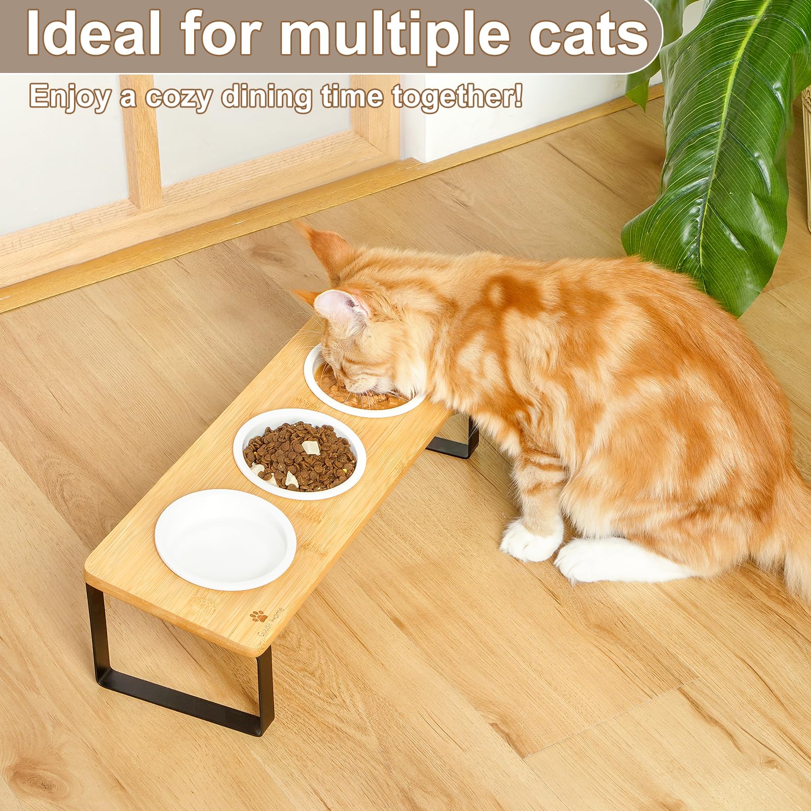 Sunhoo elevated feeding station keeps bowls clean from dust and pet hair.