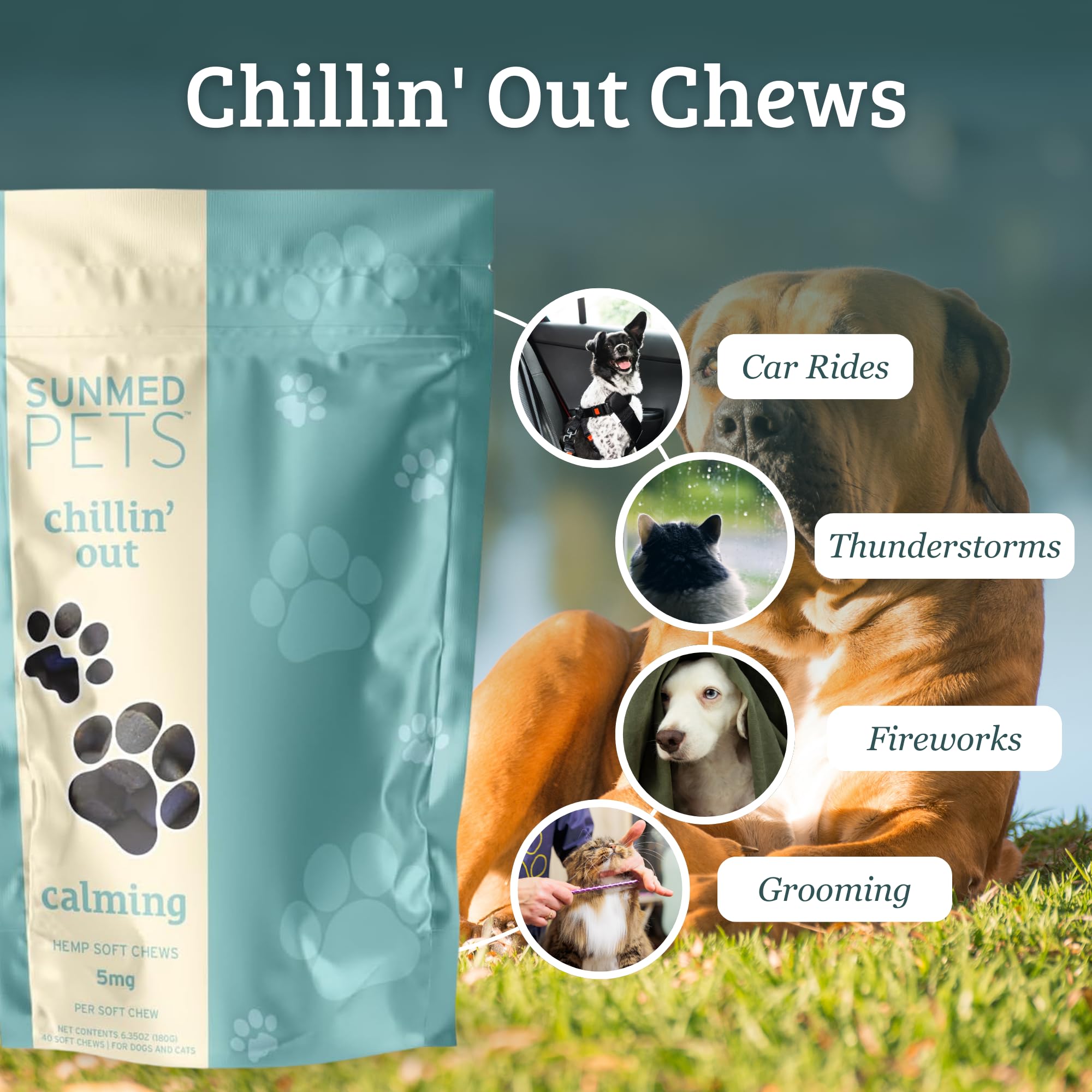 Sunmed Chillin' Out dog chews serving bowl highlights tasty calming treat for daily use.