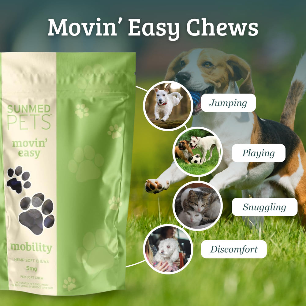 Sunmed Movin' Easy chews close-up highlighting palatable texture for daily use.