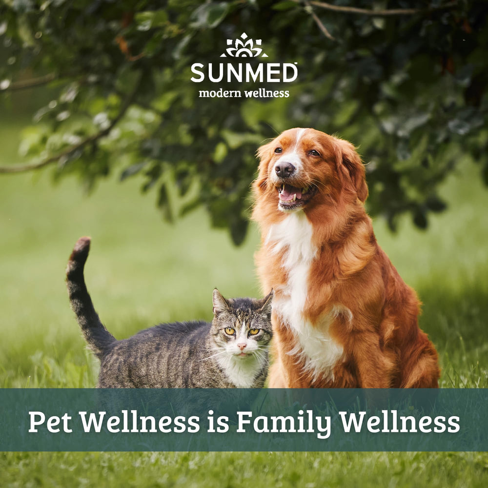 Sunmed Movin' Easy treats integrated into a dog's daily active routine.
