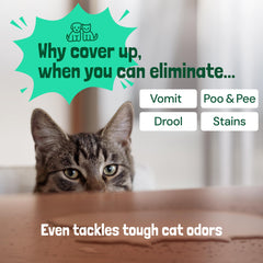 Sunny & Honey versatile cleaning on carpets, mattresses, and upholstery