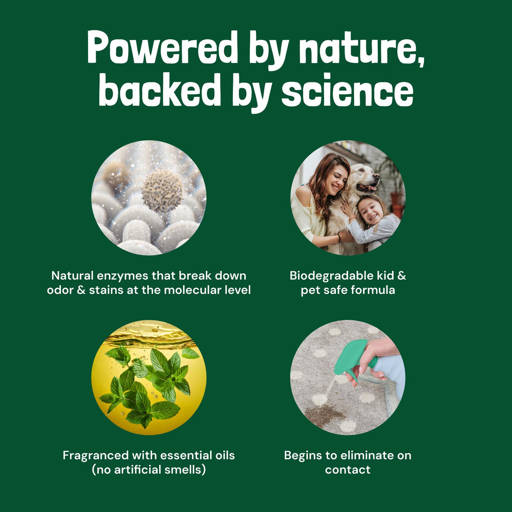 Sunny & Honey enzyme cleaner spray demonstrates simple application on stains