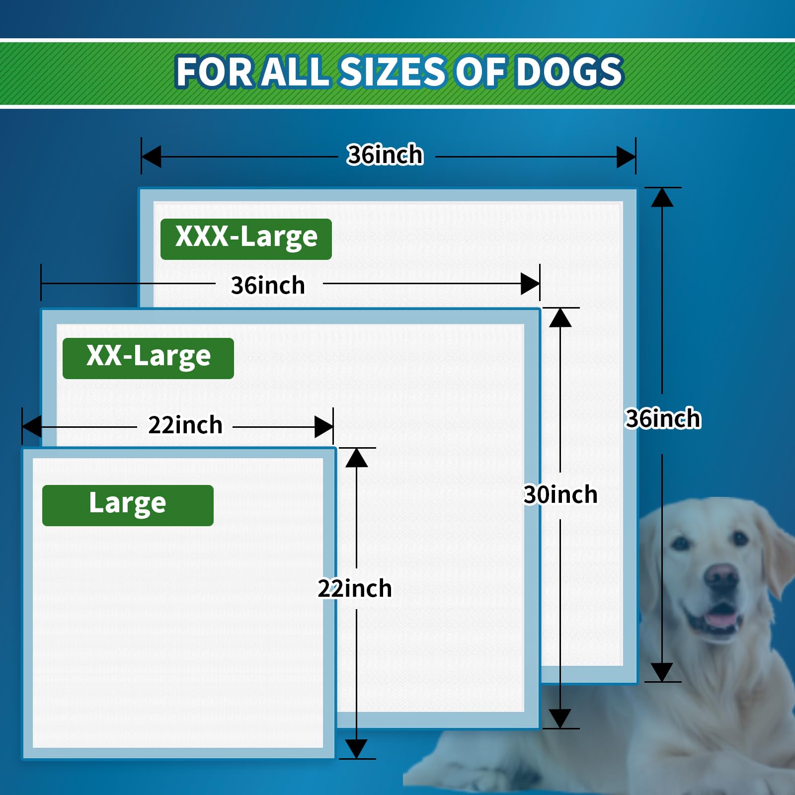 Sunny Doggy pee pad 24-hour protection emphasizes continuous coverage and spill prevention.