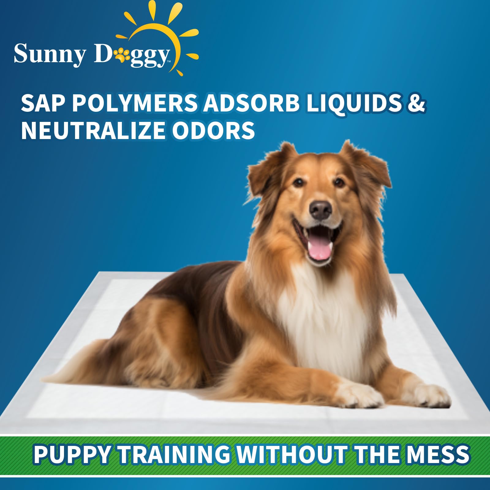 Sunny Doggy pee pad crate-protection setup shows clean, organized training space.