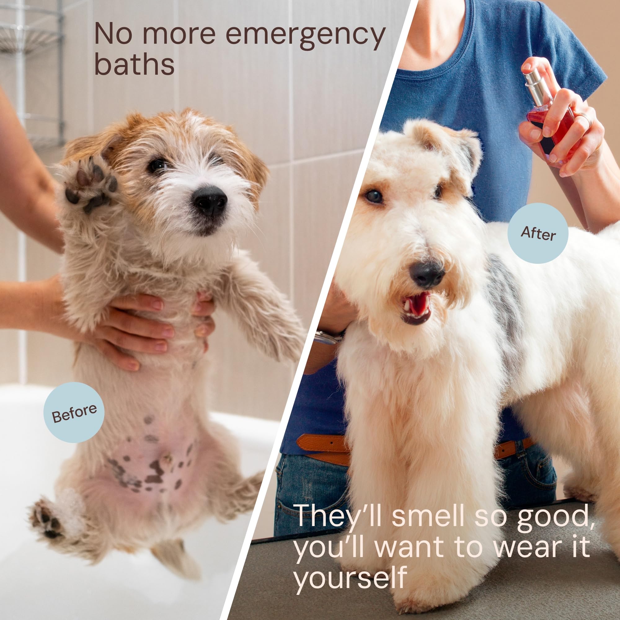 Sunny & Honey 2-pack gift set organized for gifting