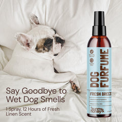 Sunny & Honey avocado oil hydration for a hydrated coat