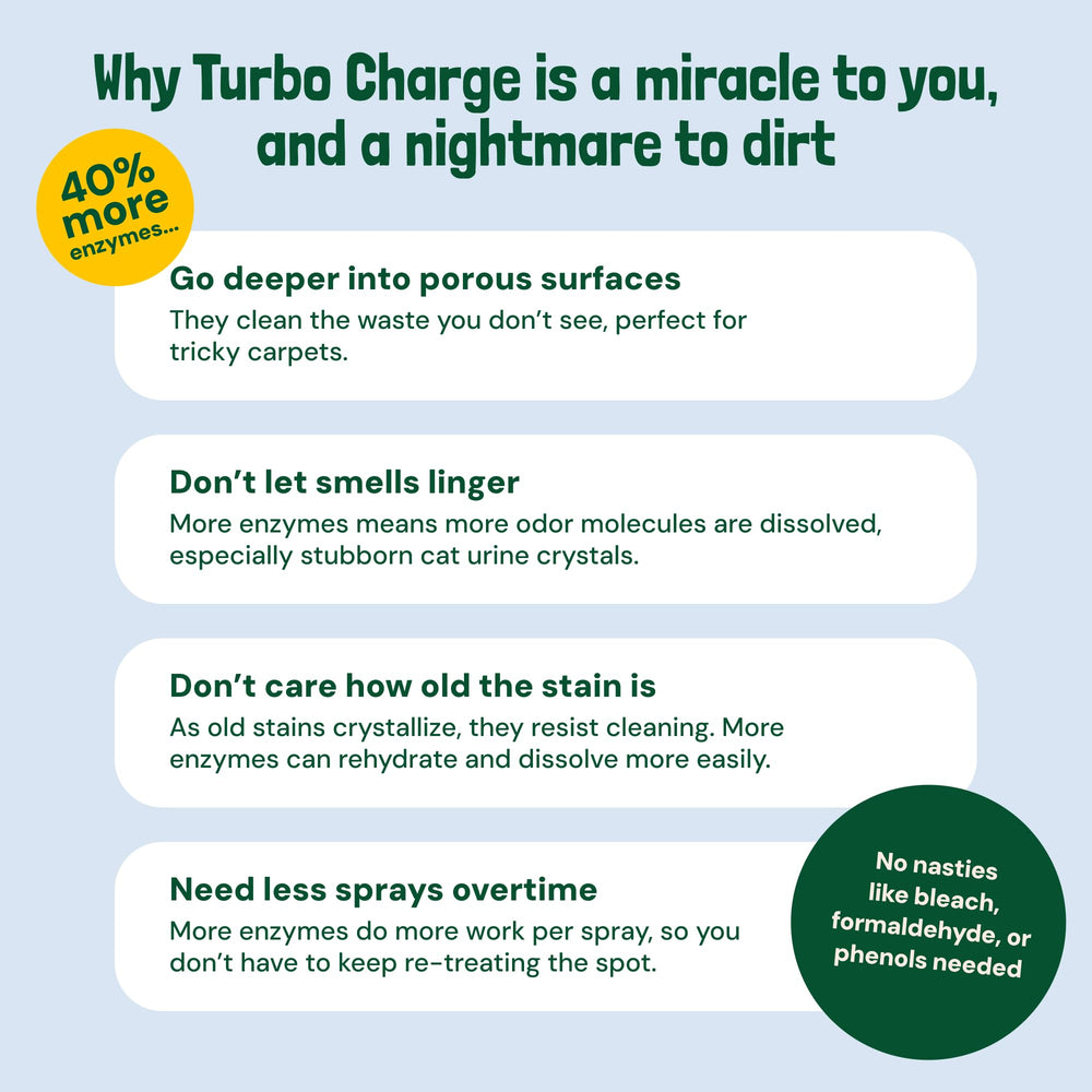 Sunny & Honey carpet cleaner splash highlights active cleaning power on spots