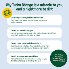 Sunny & Honey carpet cleaner splash highlights active cleaning power on spots