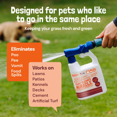 Sunny & Honey dog urine neutralizer on grass demonstrates odor control in real conditions.