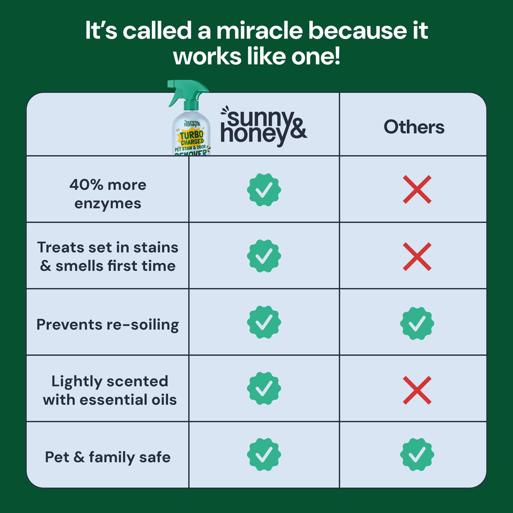 Sunny & Honey enzyme action close-up emphasizes stain-tackling power