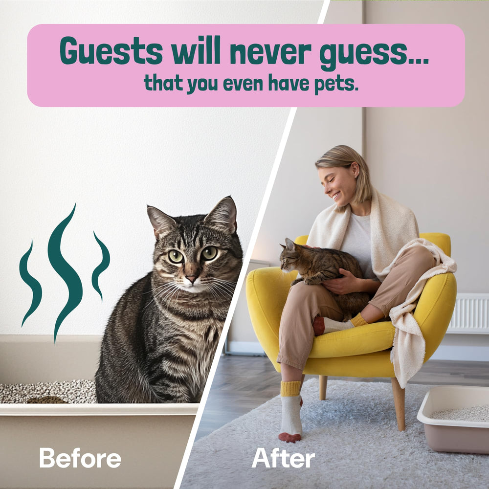 Sunny & Honey enzyme cleaner action neutralizes odors at the source.