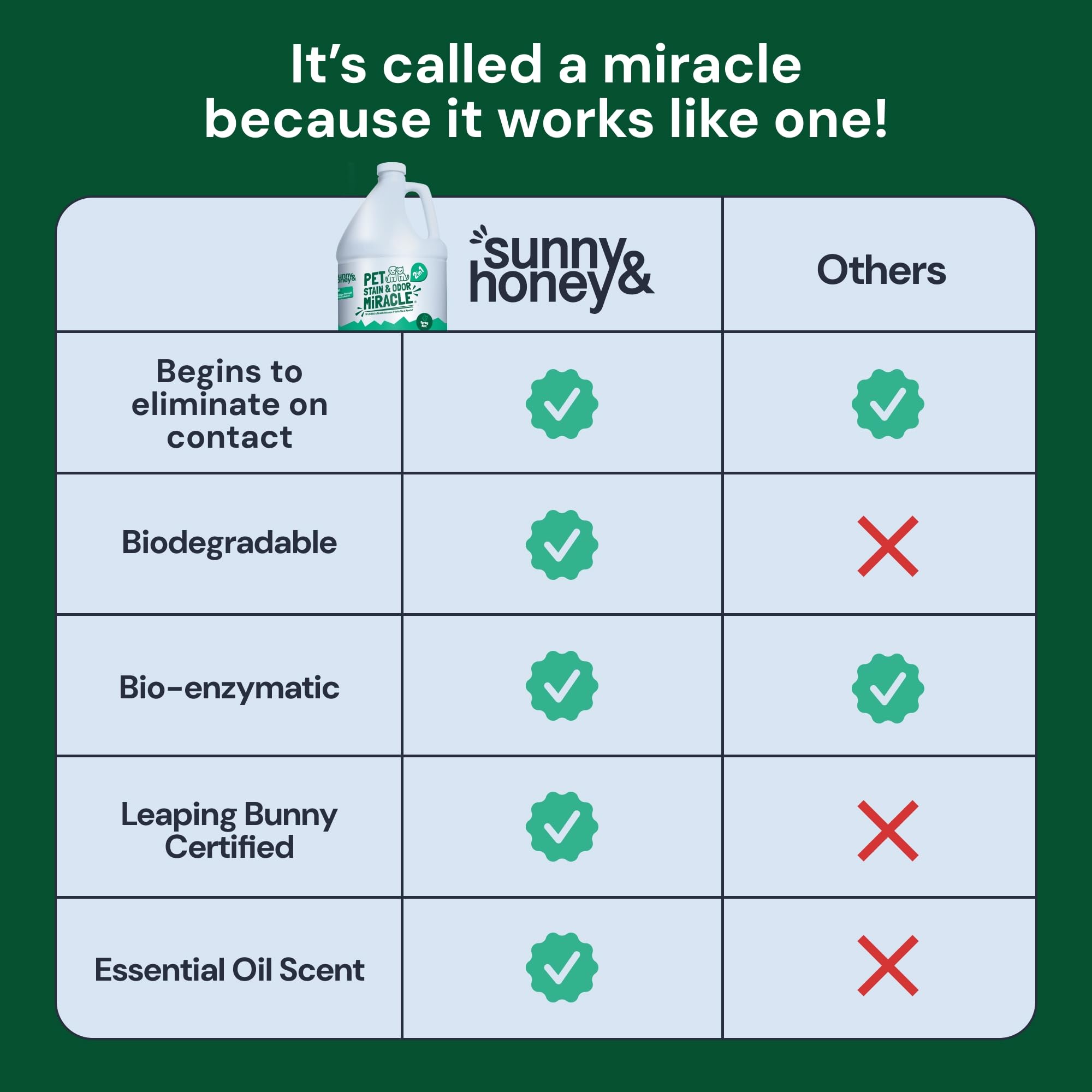 Sunny & Honey couch cleaning with enzyme cleaner for upholstery refresh