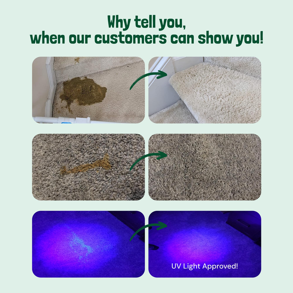 Sunny & Honey Enzyme Cleaner Spring Mint label highlights pet-safe formula