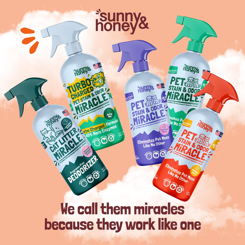 Sunny & Honey garden freshness closeup highlights long-lasting scent benefits.