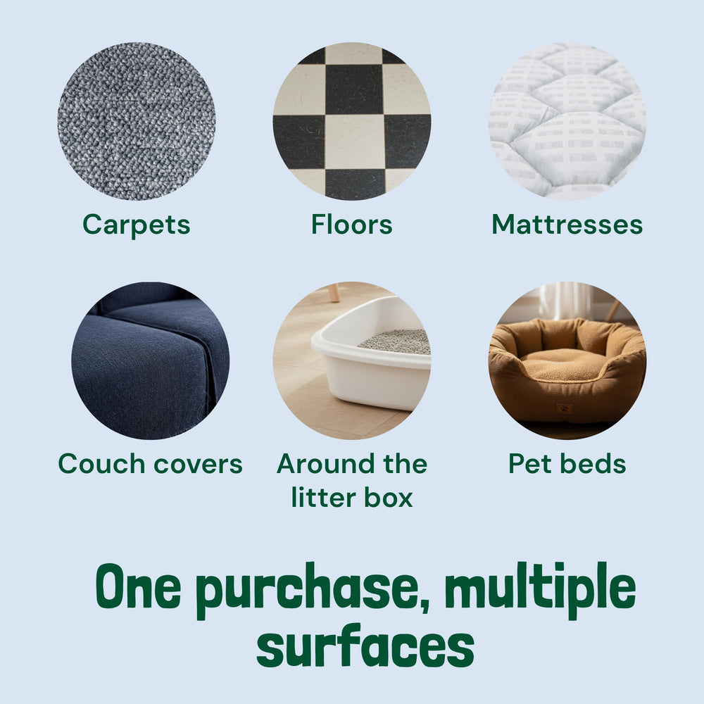 Sunny & Honey kid-safe label reassures family-friendly cleaning