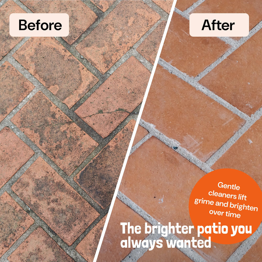 Sunny & Honey patio cleanup action captures mess removal before gatherings.