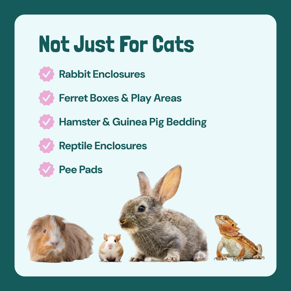 Sunny & Honey USA-made label signals safe, clean ingredients.