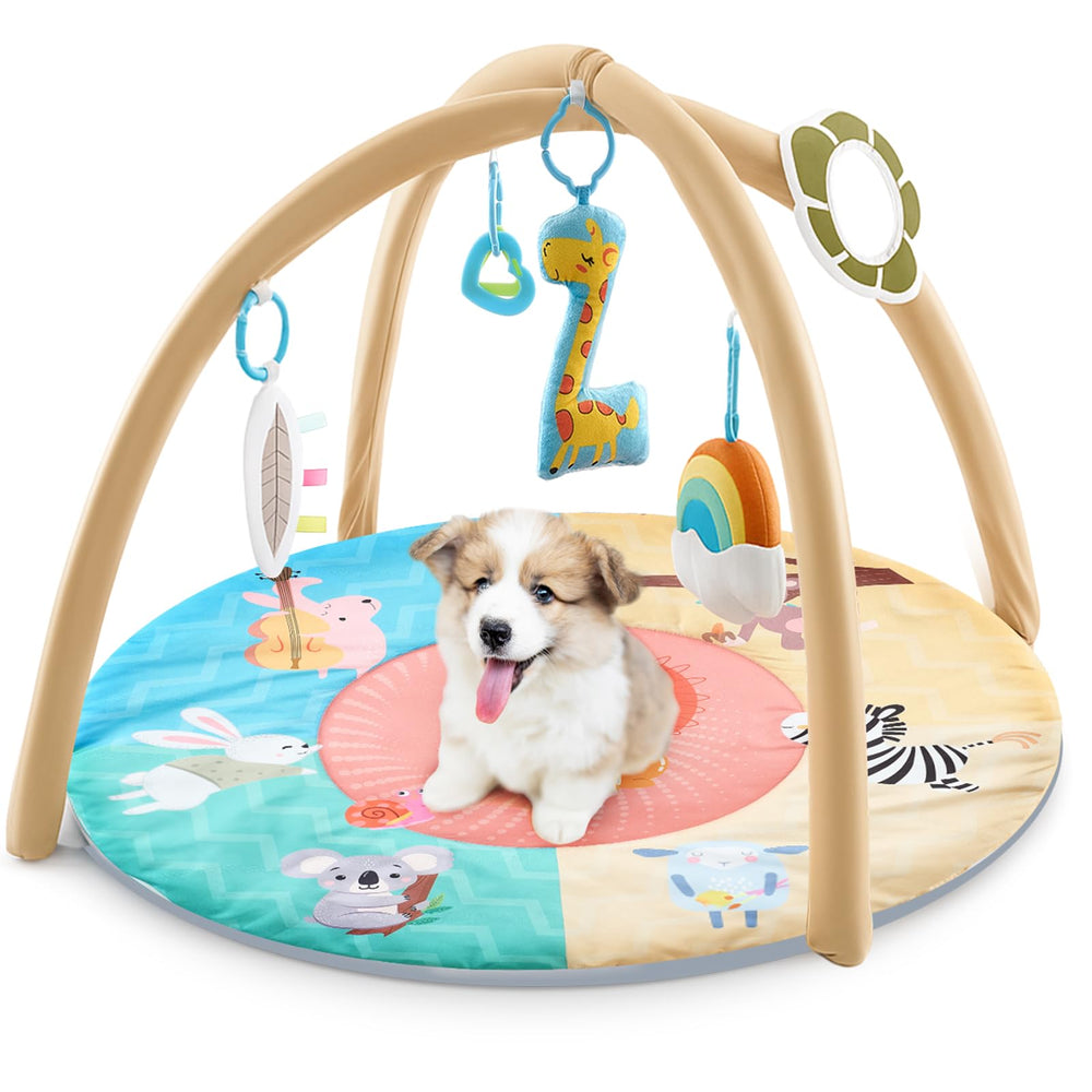 Sunnymove Puppy Play Gym assembly example showing quick setup and space-saving design.