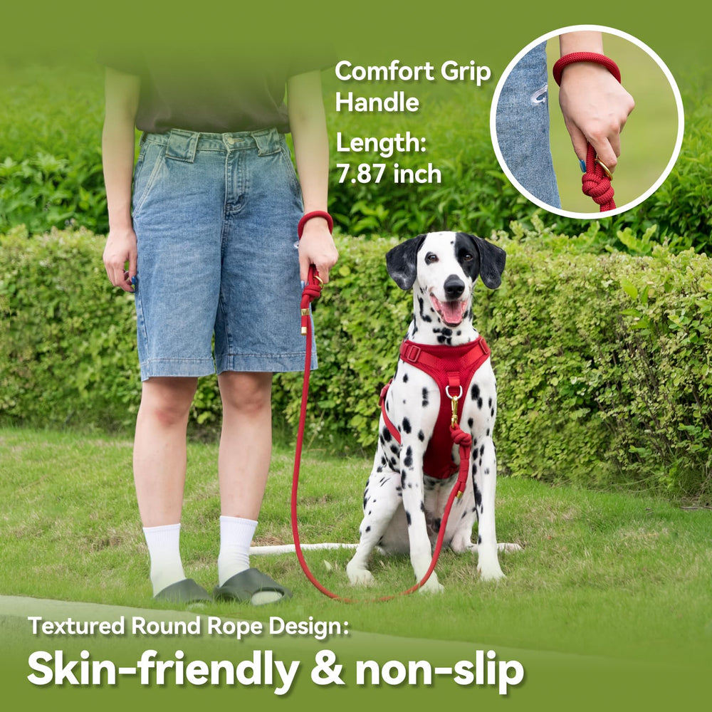Sunraymascota 3D textured handle close-up emphasizes comfortable grip
