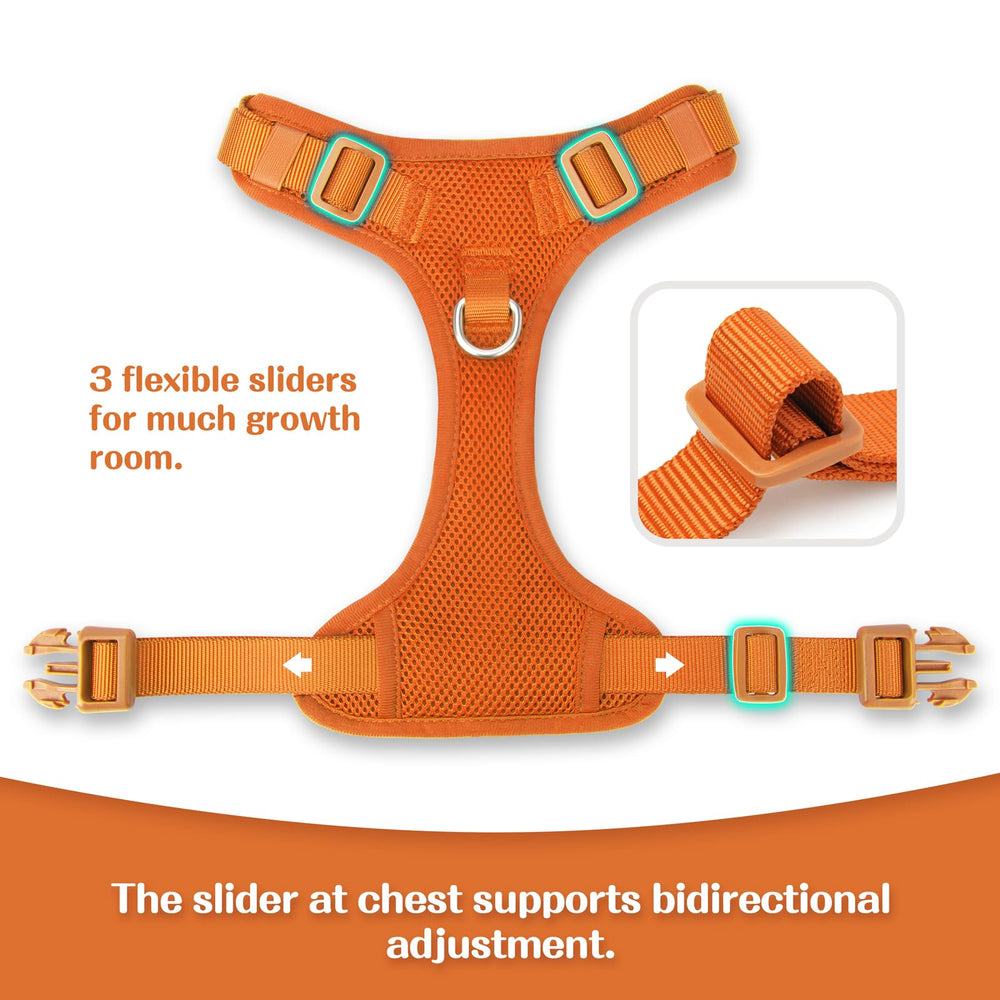 Sunraymascota breathable mesh keeps dogs cool during hot weather