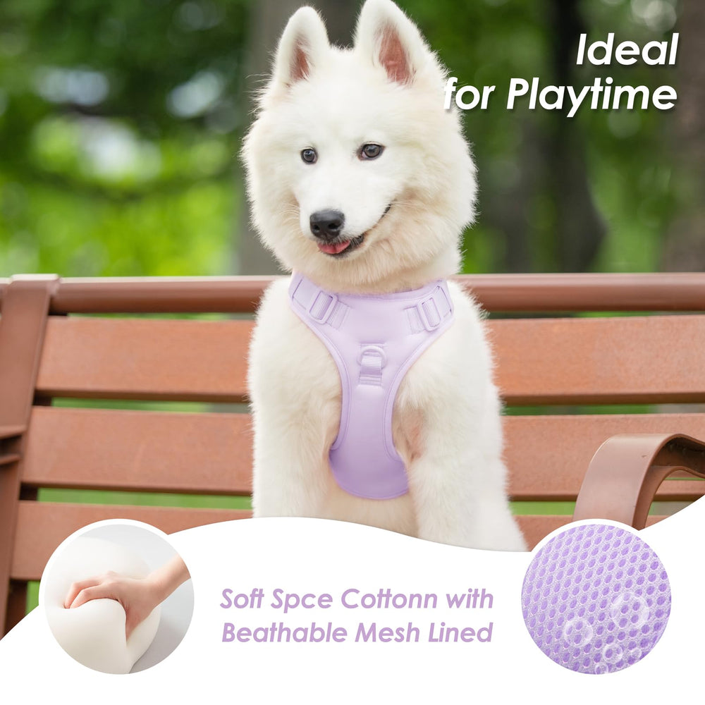 Sunraymascota breathable mesh lining provides comfort during long wear