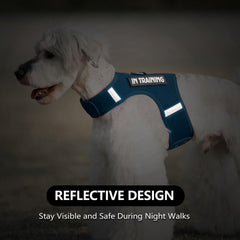 Sunraymascota dog harness chest area showing snug small-breed fit