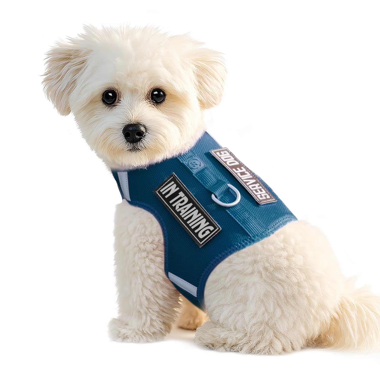 Sunraymascota dog harness in Prussian Blue full view for puppies demonstrating fit