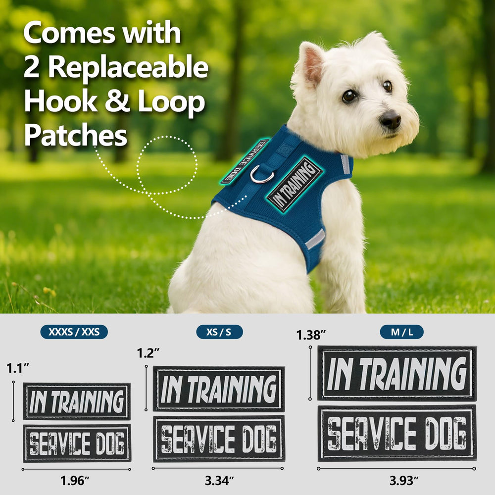 Sunraymascota dog harness on a puppy showing adjustable wearing