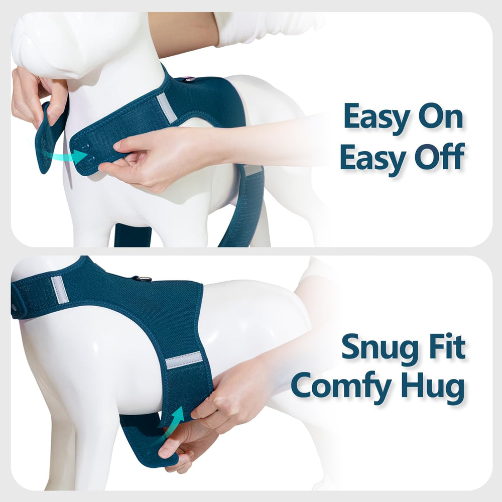 Sunraymascota dog harness reflective strips visible in low light