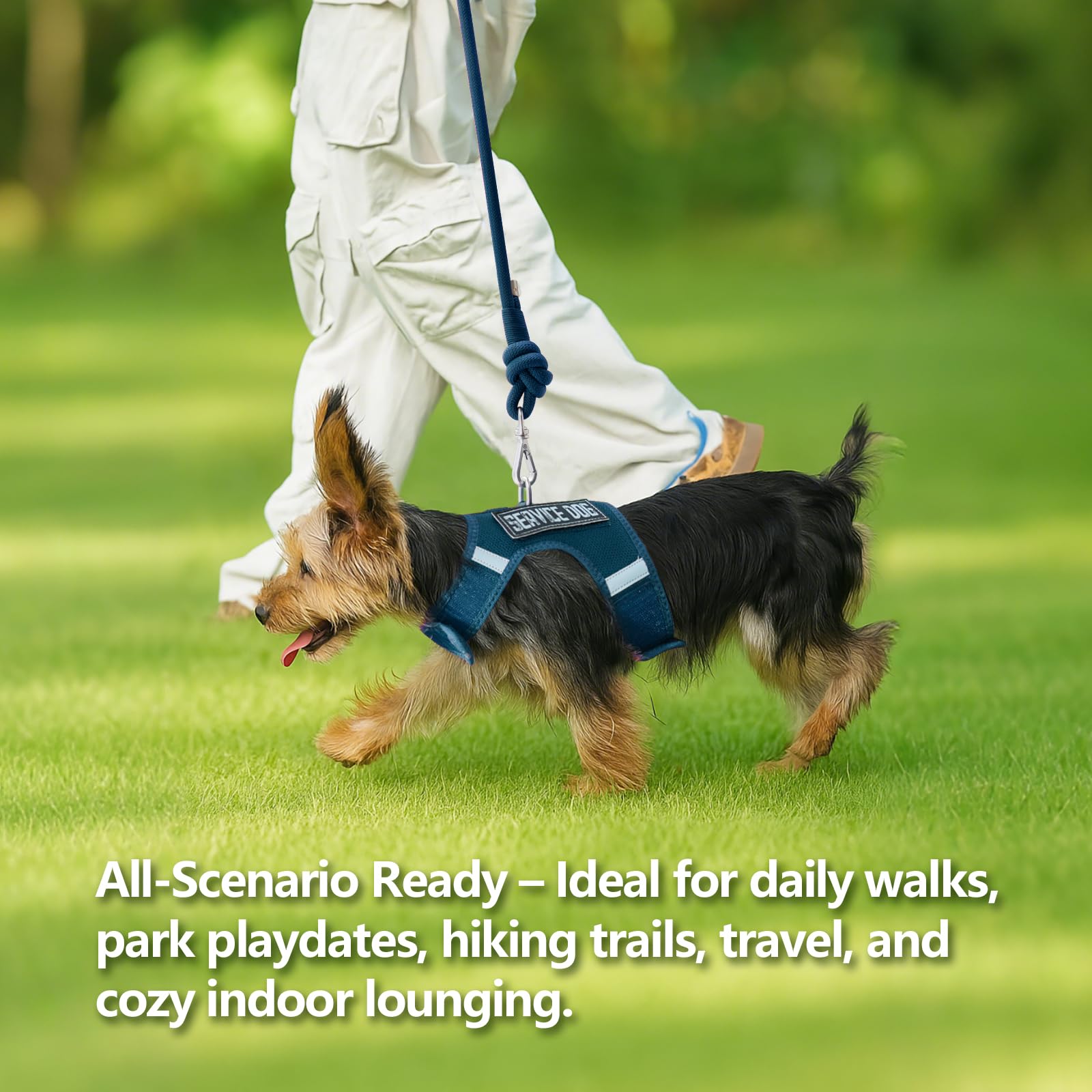 Sunraymascota dog harness close-up of breathable soft air mesh