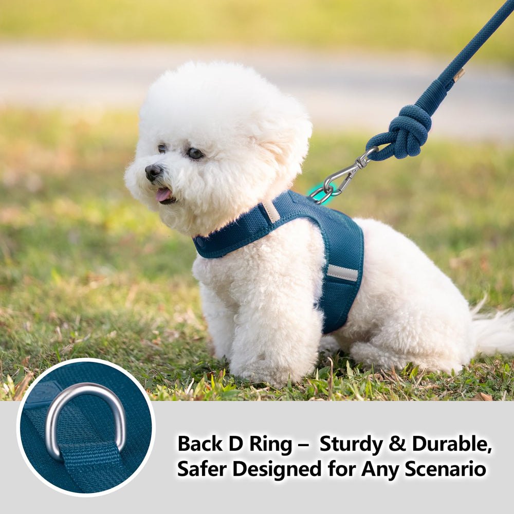 Sunraymascota dog harness two interchangeable patches available