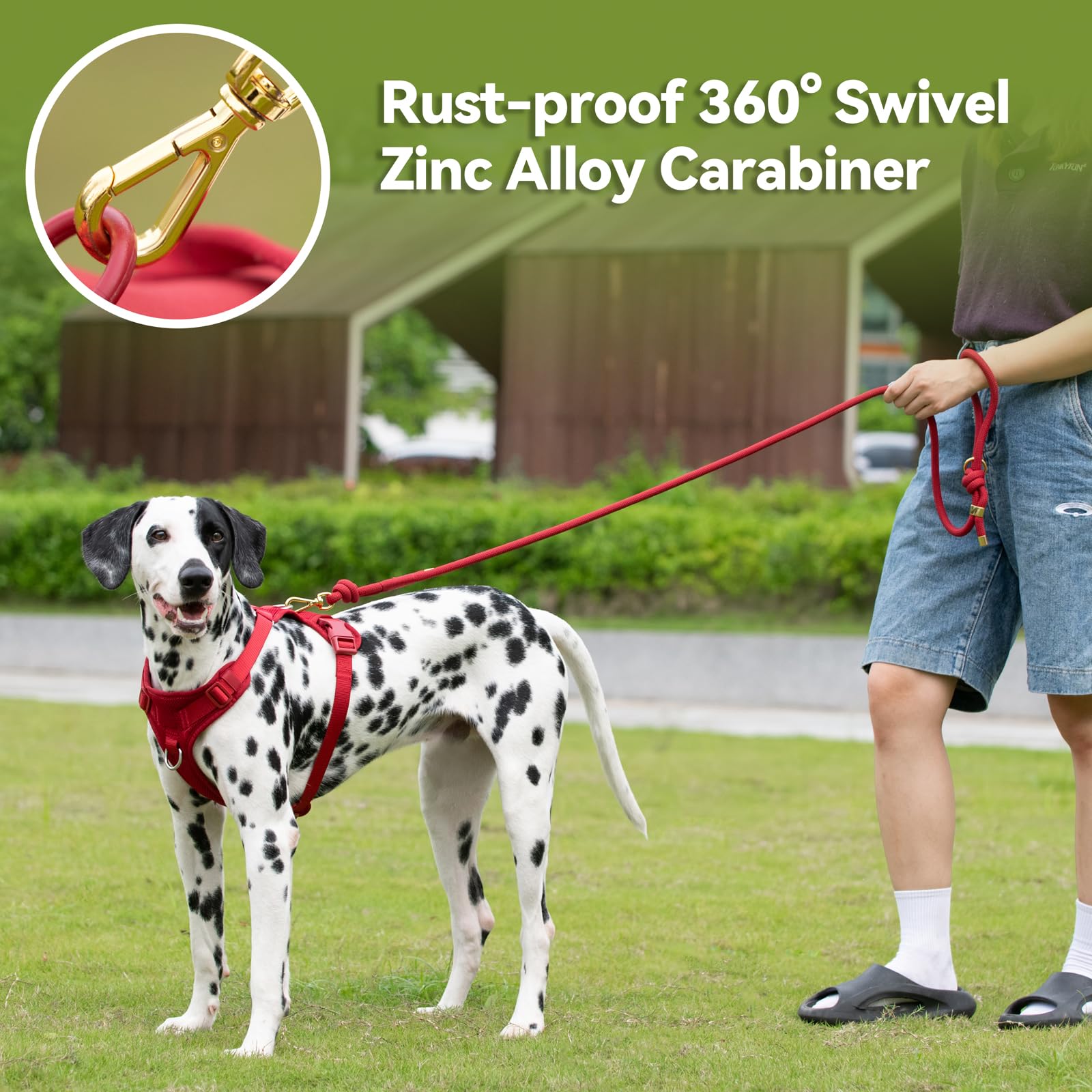 Sunraymascota dual-layer nylon-core leash section shows strength and flexibility