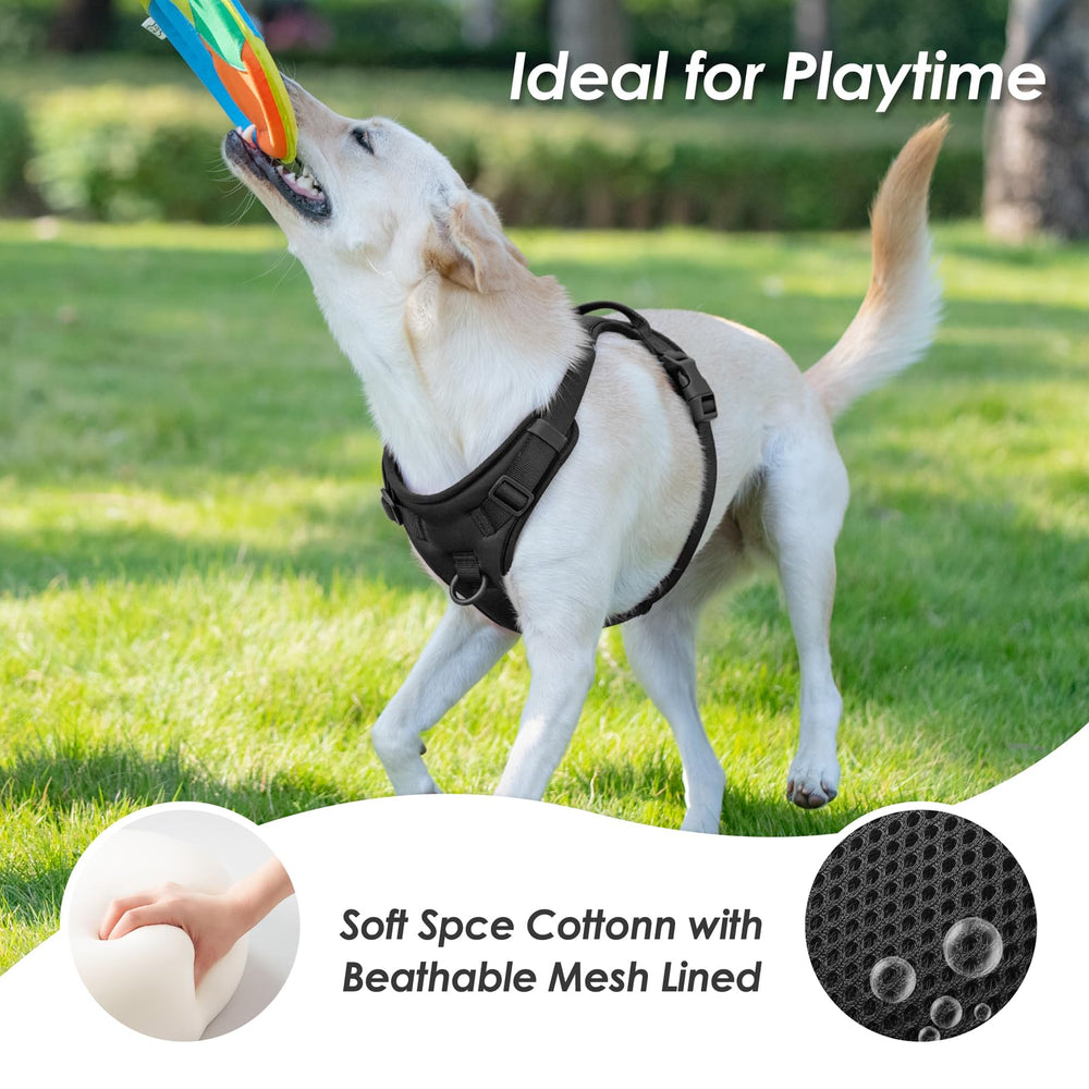 Sunraymascota Easy-on-off buckle with neck lock for secure fit.