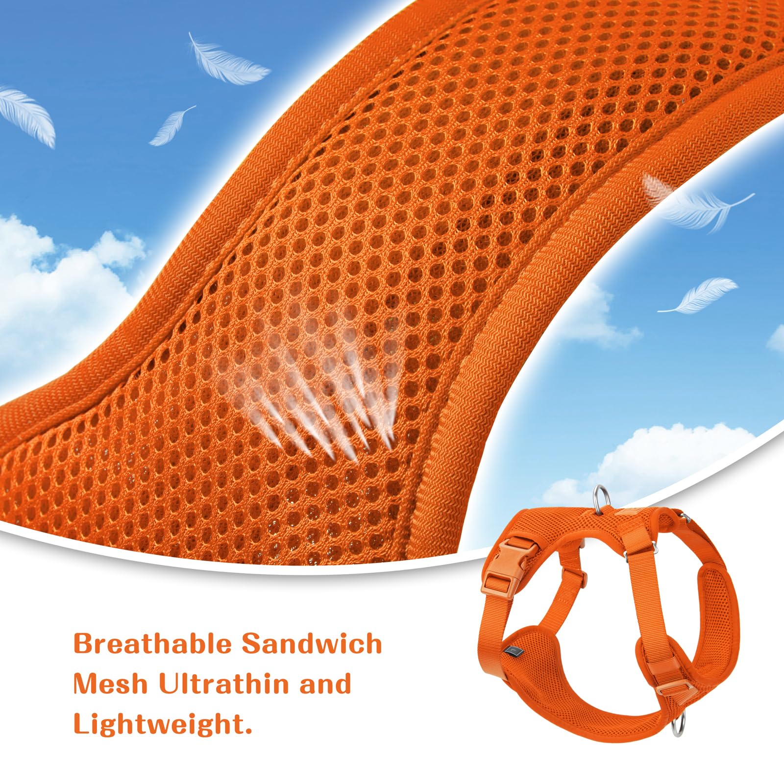 Sunraymascota easy-on snaps quick-release for hassle-free wear